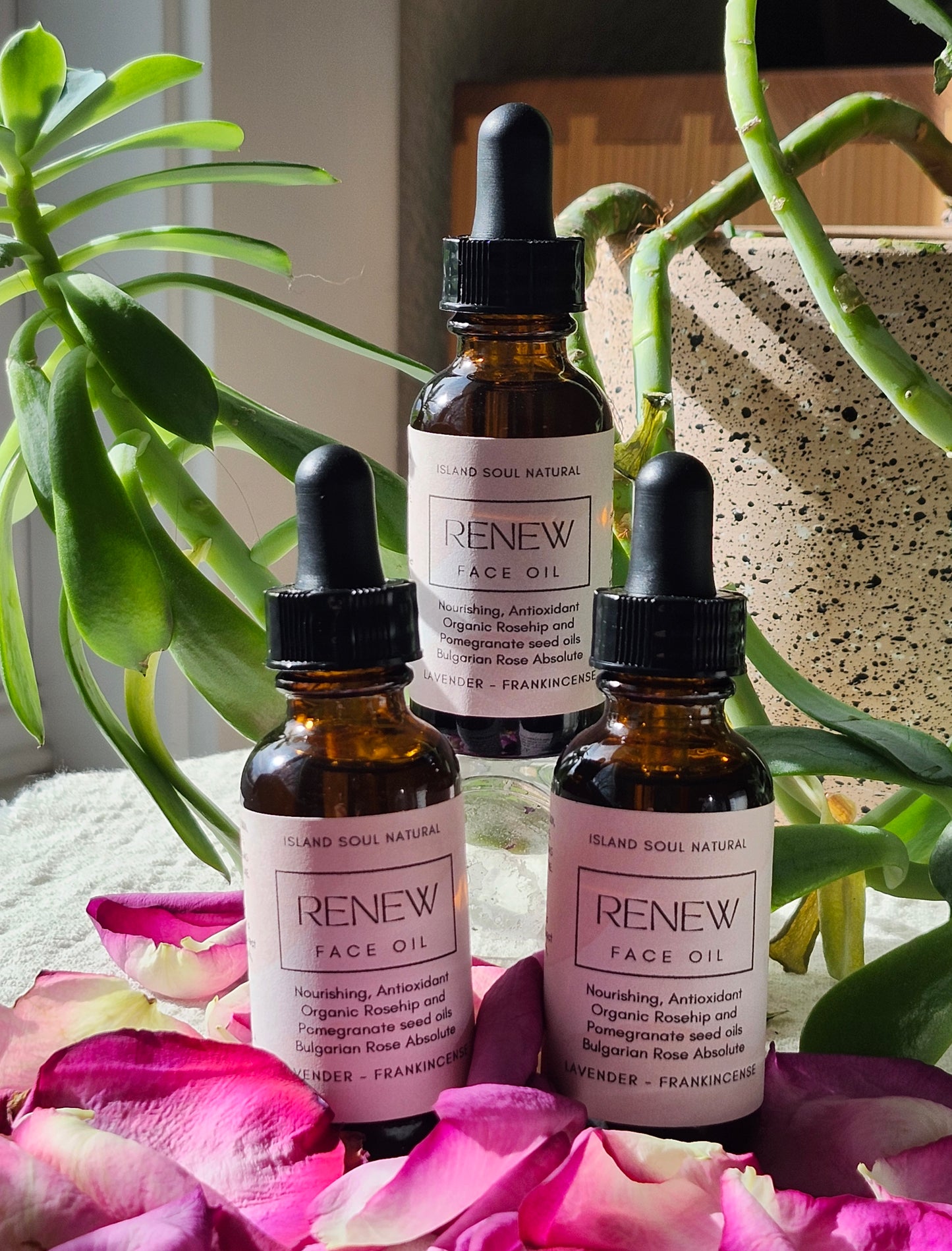 Renew Face Oil 2oz/60ml