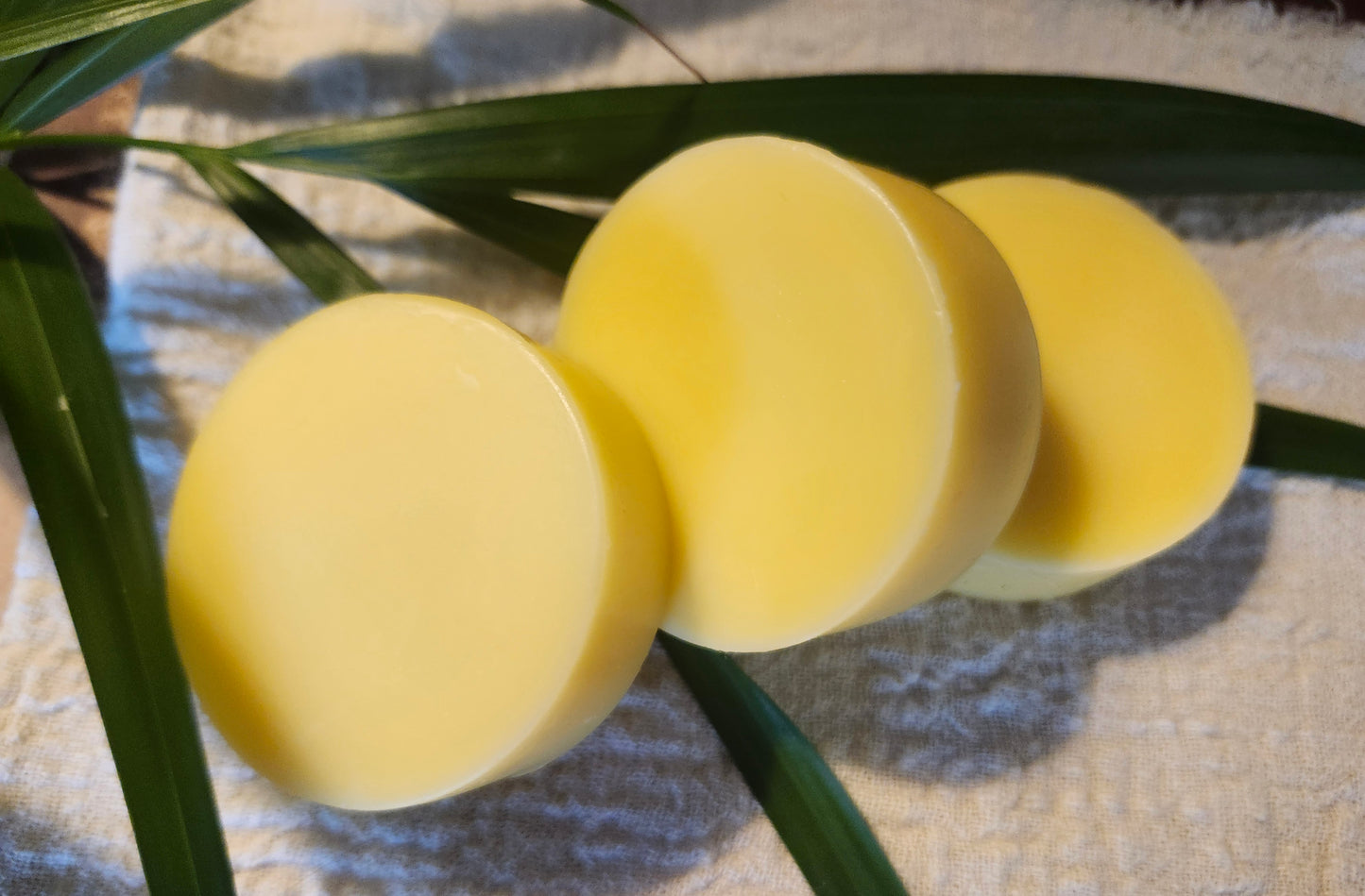 Conditioner Bar - Sea Buckthorne Oil