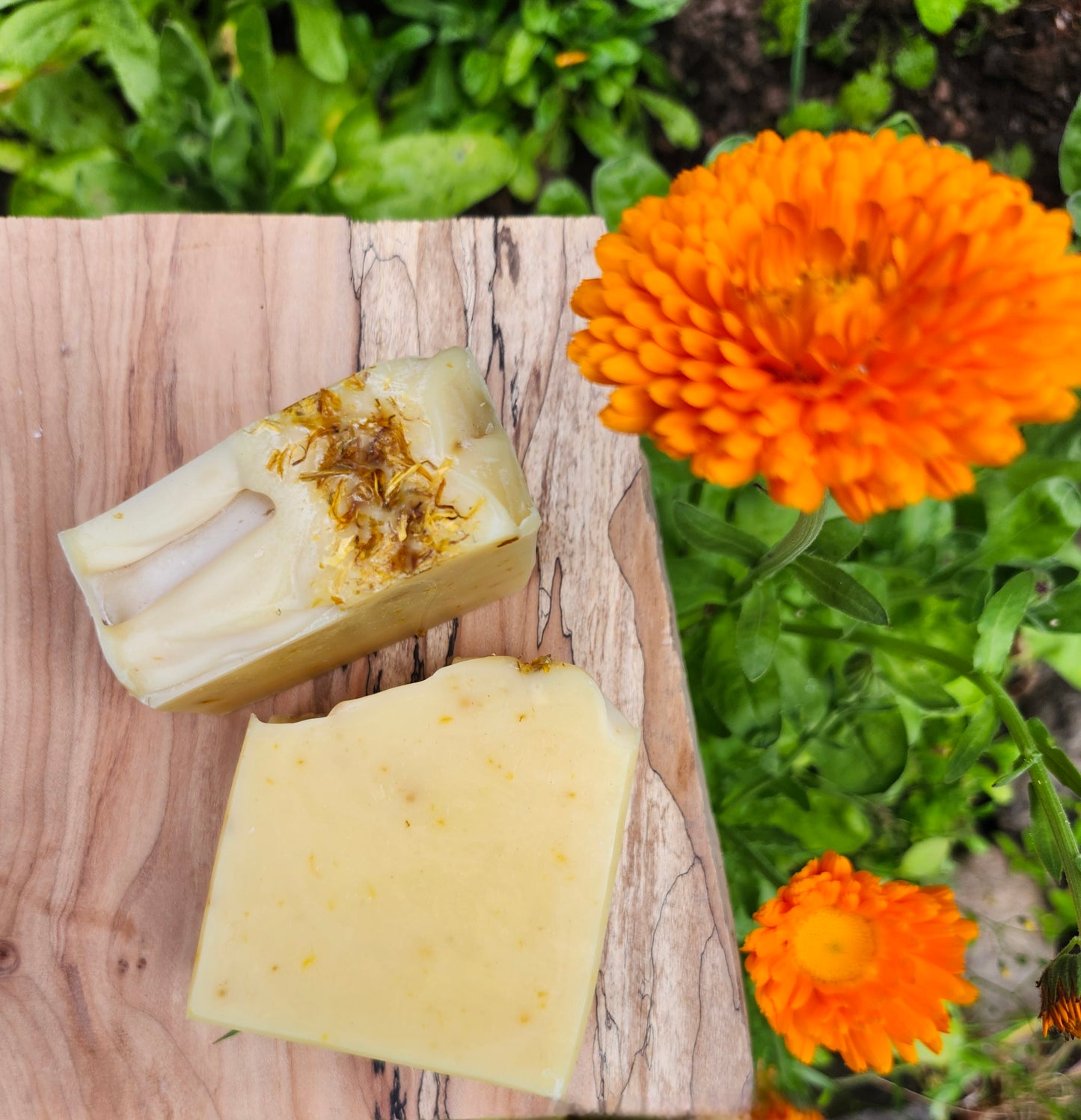Soap Bar - Calendula