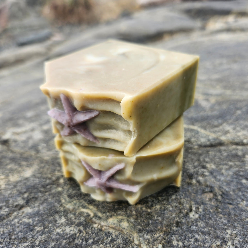 Soap Bar - Medicine Beach with Kelp and Citrus