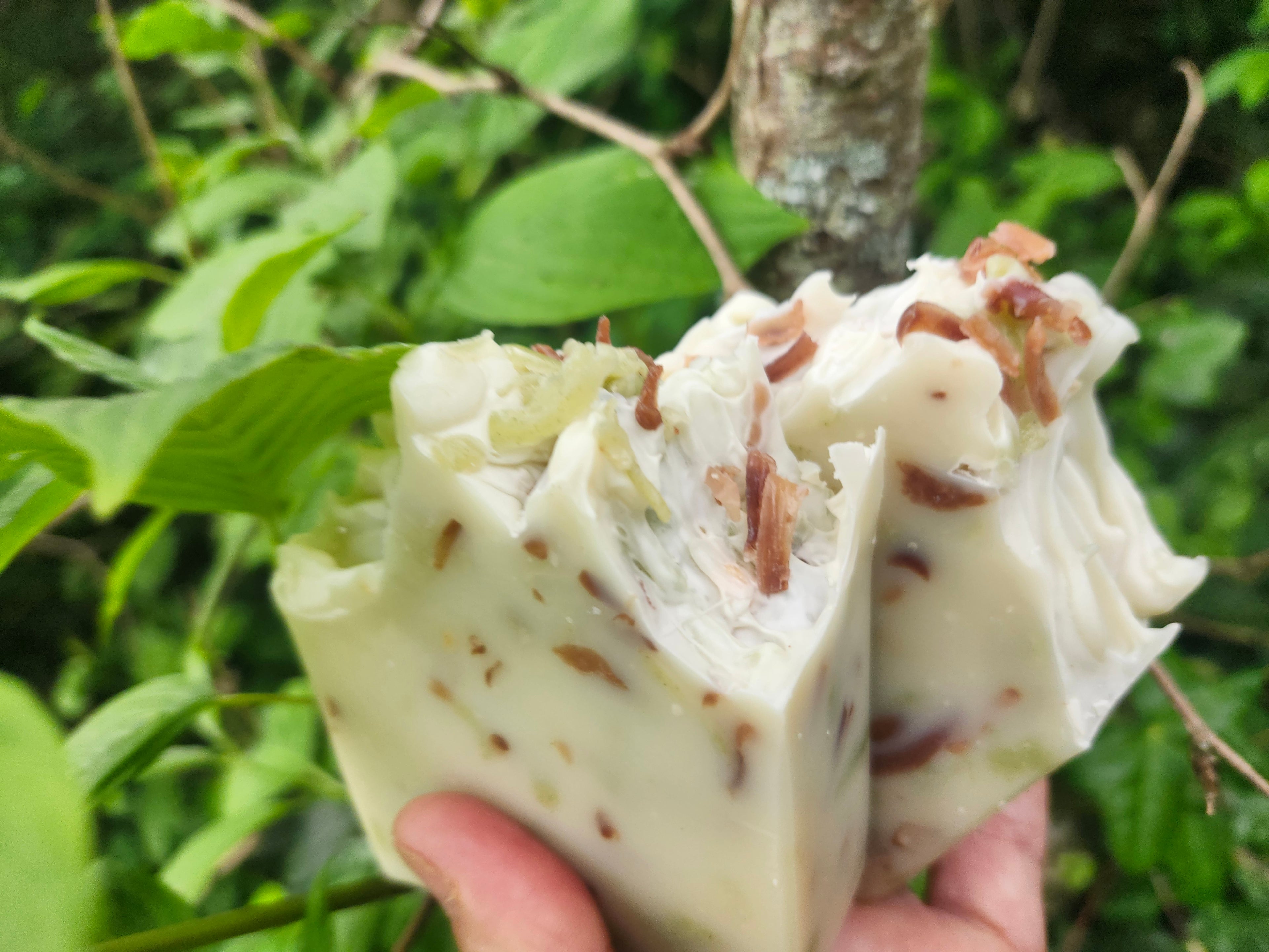 Soap Bar - "TREE' Tea Tree, Fir and MInt