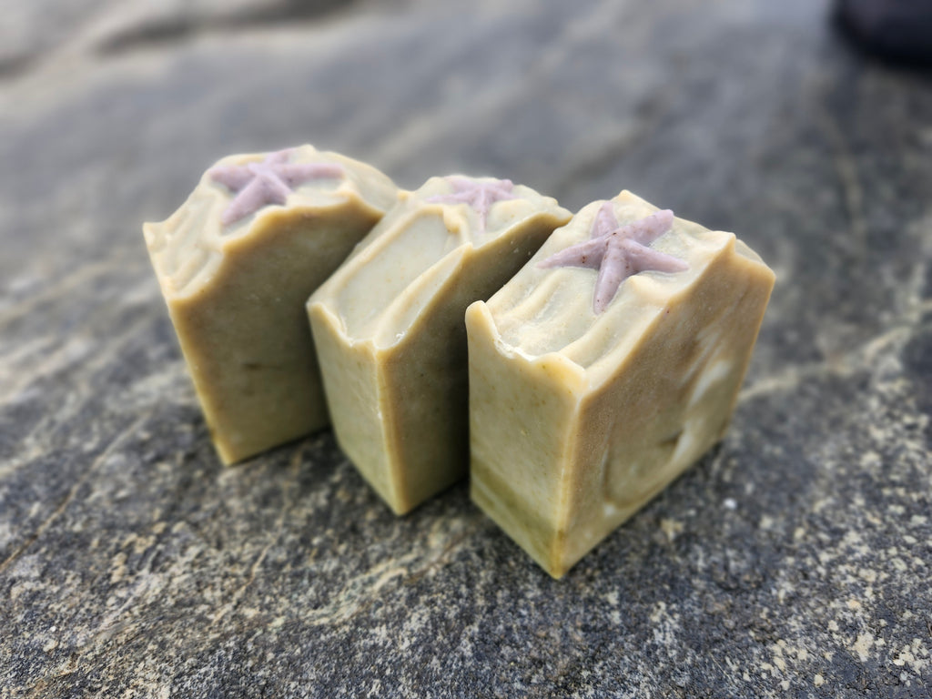 Soap Bar - Medicine Beach with Kelp and Citrus