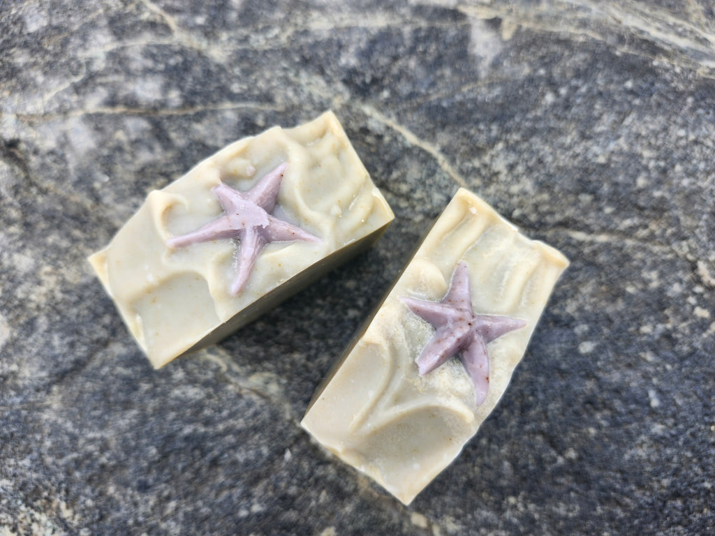 Soap Bar - Medicine Beach with Kelp and Citrus