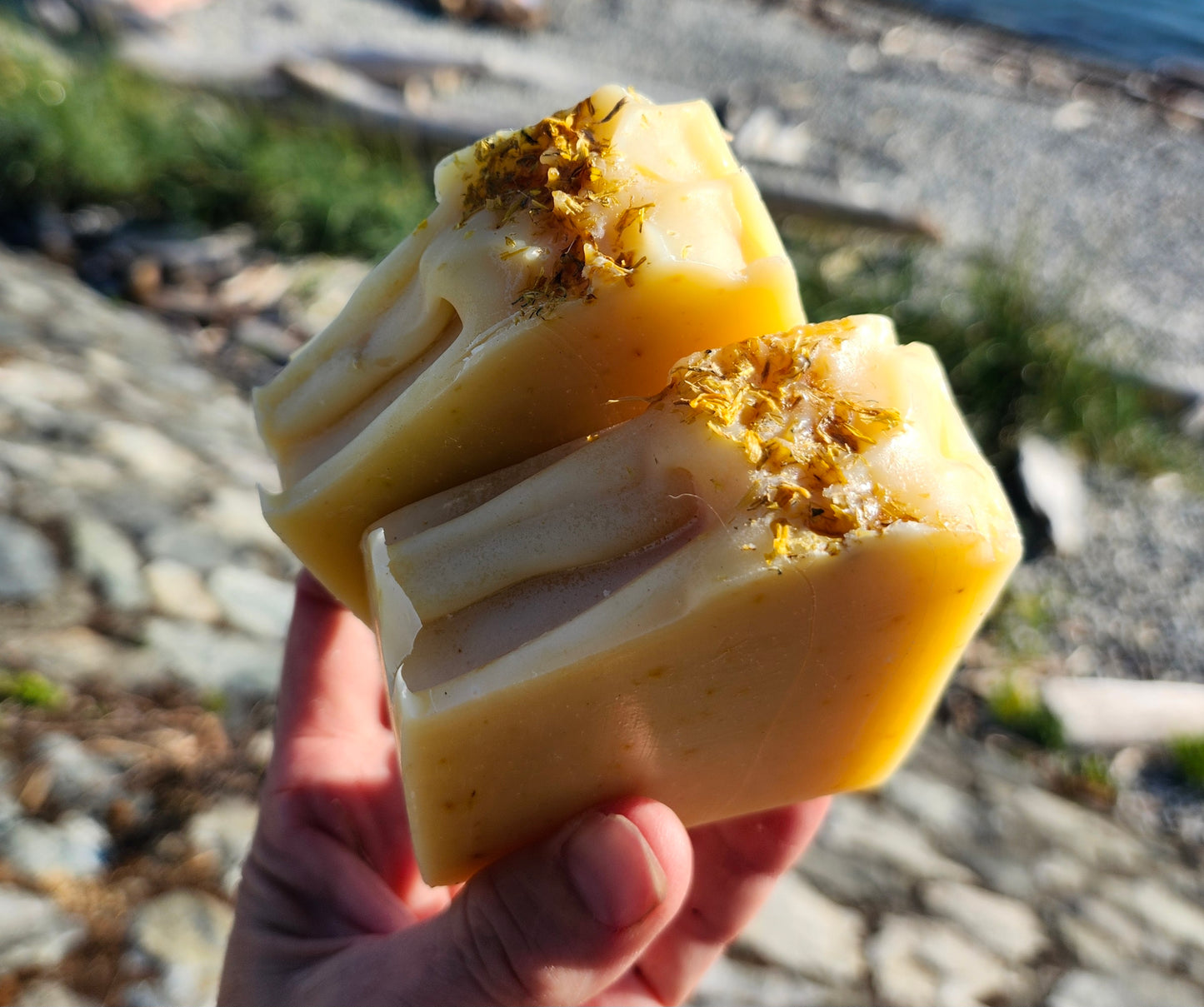 Soap Bar - Calendula