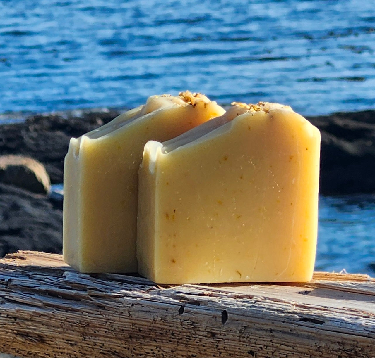 Soap Bar - Calendula