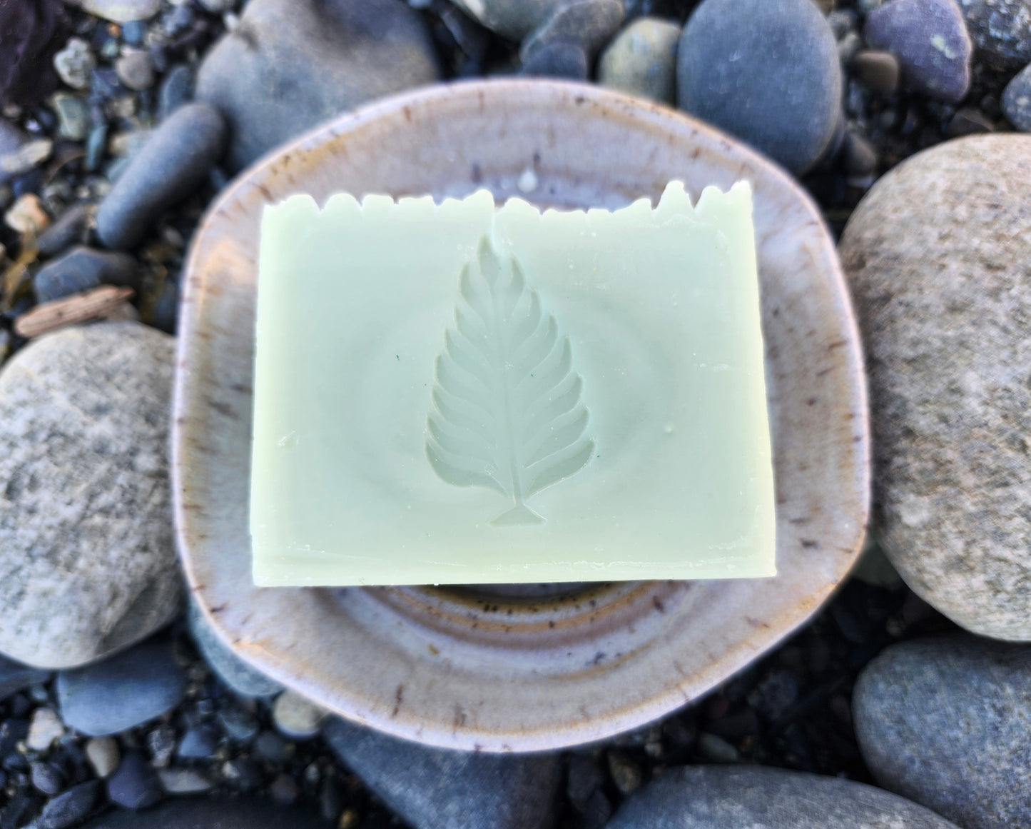 Dish Soap Bar