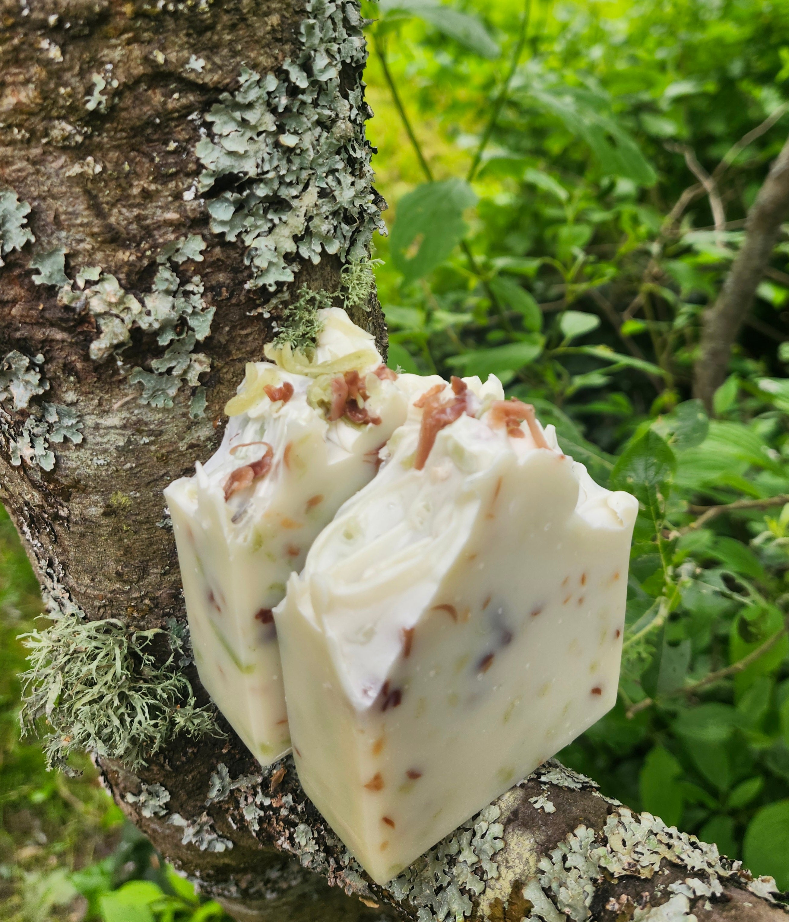 Soap Bar - "TREE' Tea Tree, Fir and MInt